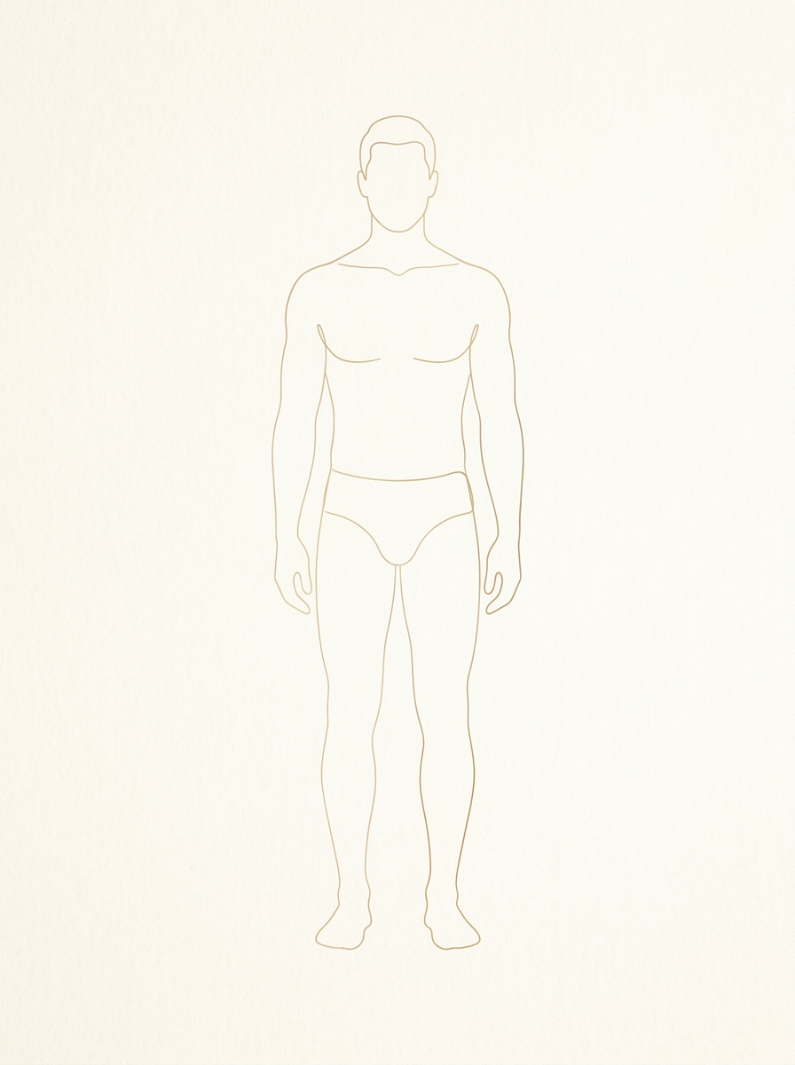 Silueta masculina — zonas de tratamiento corporal en Orbe Clinics