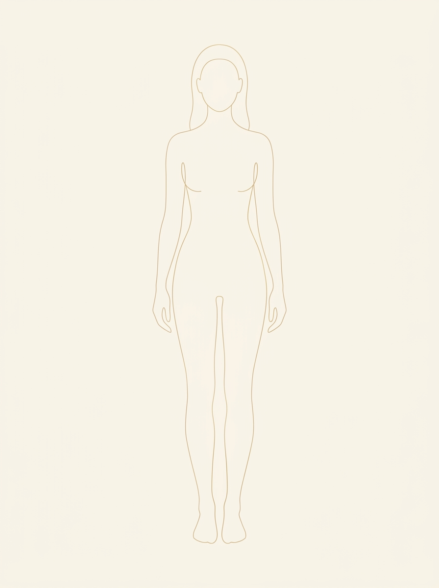Silueta frontal — contorno en el aumento de glúteos